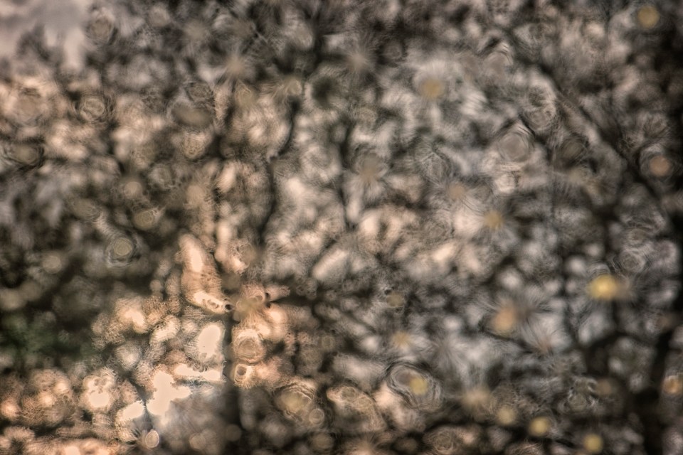 140411_0897_300R_flip