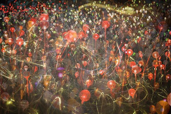 131024_26303737-2_600W