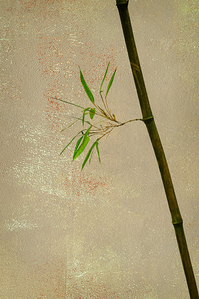 160611_1433_300R_600H