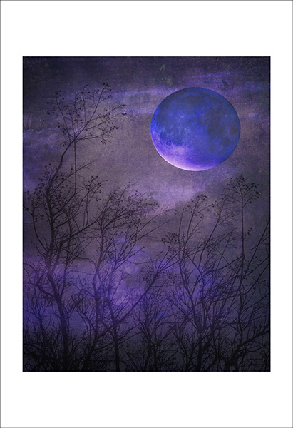 4_composite_sabchristopher_600hf