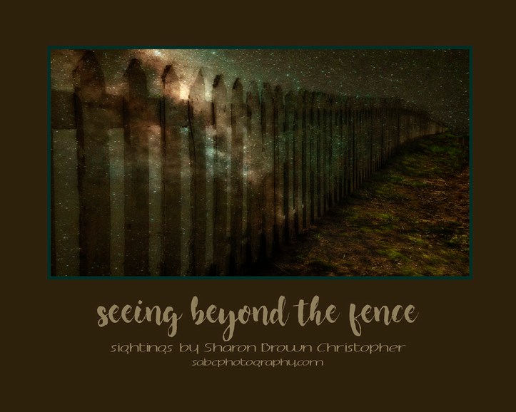 6_PromotionalPoster_SChristopher_1000pxW